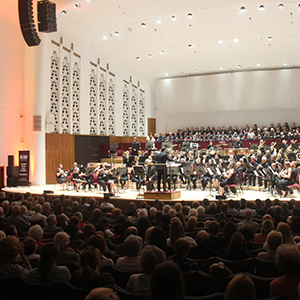 image11